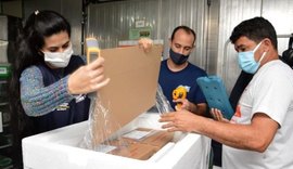 Alagoas recebeu mais 17 mil doses de Coronavac nesta sexta-feira (14)