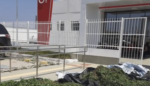 PM apreende cerca de 20 mil pés de maconha em Mata Grande