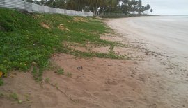 A importância da engorda natural como solução para muitas praias alagoanas