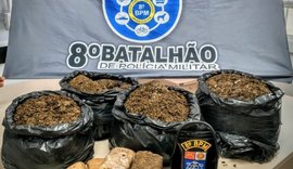 Policiais militares apreendem mais de 23 quilos de maconha em Satuba