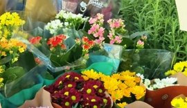 Feira de Flores de Holambra comercializa mais de 200 espécies