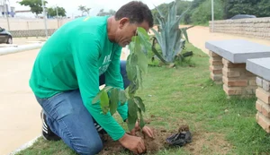 IMA ultrapassa 1,6 milhão de mudas plantadas