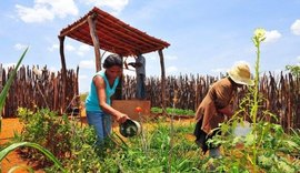 Alagoas foi Estado do Nordeste menos afetado pela crise econômica, segundo IBGE e Seplag