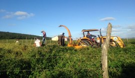 Secretário de Agricultura elogia trabalho em comunidades rurais de Arapiraca