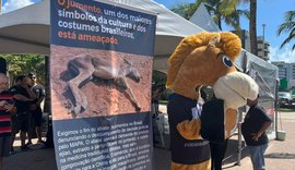 Manifestação nacional pede o fim do abate de jumentos no Brasil