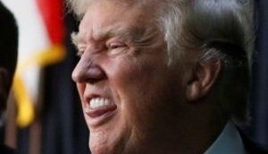 Apoiadores de Donald Trump veem eleição parlamentar como batalha para defender presidente