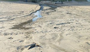 IMA autua Prefeitura de Maragogi e Verde Ambiental por lançamento de efluente no mar