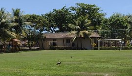 Sesc interdita campo de futebol para preservar ninho de pássaros