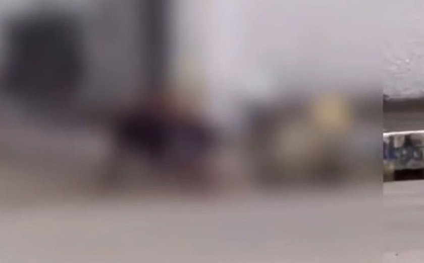 Pitbulls matam gato em via pública e causam pânico no Salvador Lyra