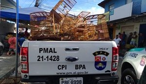 Batalhão Ambiental apreende 47 animais silvestres comercializados em feira do Jacintinho