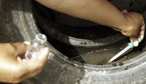 Casos de chikungunya e zika despencam 95% em Alagoas