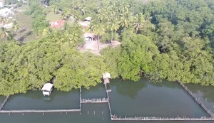 Prefeitura de Porto de Pedras acompanha caso de óbitos de dois peixes-boi marinhos
