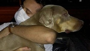 Polícia Civil vai investigar morte de cão submetido à eutanásia em Maceió