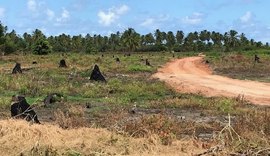 Instituto do Meio Ambiente interdita loteamento em São Miguel dos Milagres