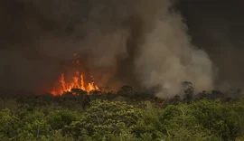 Queimadas fazem desmatamento crescer 92% na Amazônia