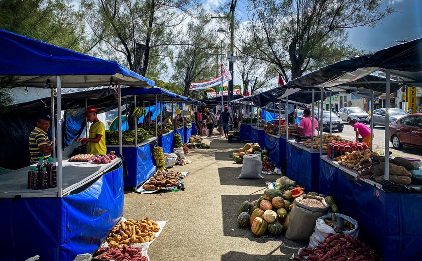 Com a expectativa de comercializar 350 toneladas de alimentos, MST realiza feira em Maceió nesta quarta (3)