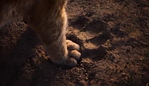 Além de ‘O Rei Leão’, confira lista dos lançamentos da Disney em 2019