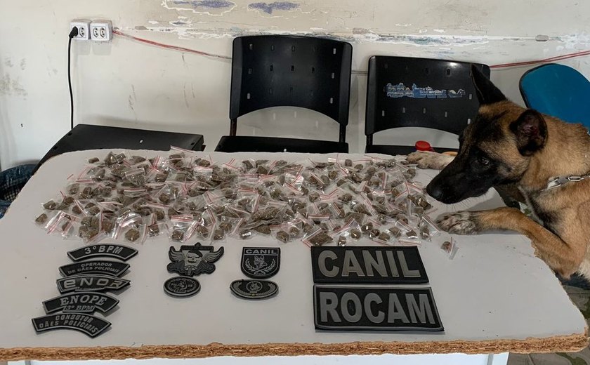 Polícia prende três suspeitos de tráfico em Arapiraca