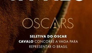 Populares pedem ajuda para resgate de um cavalo abandonado