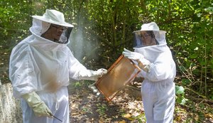Programa Pescadores do Mel apoia apicultores de Maceió e Coqueiro Seco