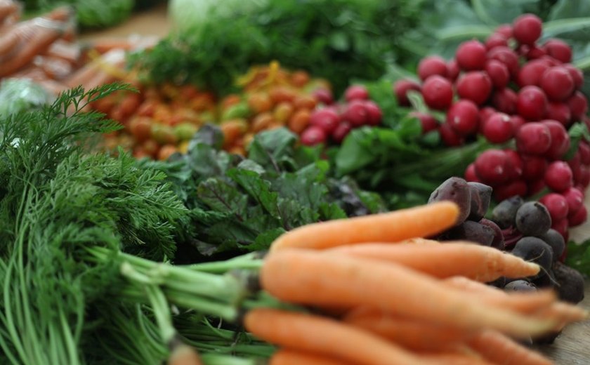Feira Agroecológia traz produtos orgânicos para Maceió nesta sexta (22)