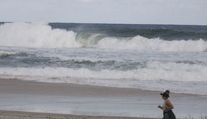 SP Ocean Week 2023 chama atenção para conhecimento dos mares