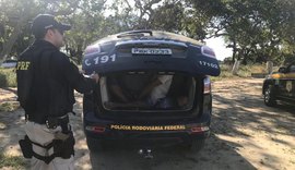 Polícia Rodoviária Federal prende assaltantes de ônibus em Pilar