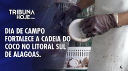 Dia de Campo impulsiona cultura do coco em Alagoas