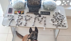 PM apreende duas armas de fogo e mais de 3kg de droga com uma mulher no Sertão de Alagoas