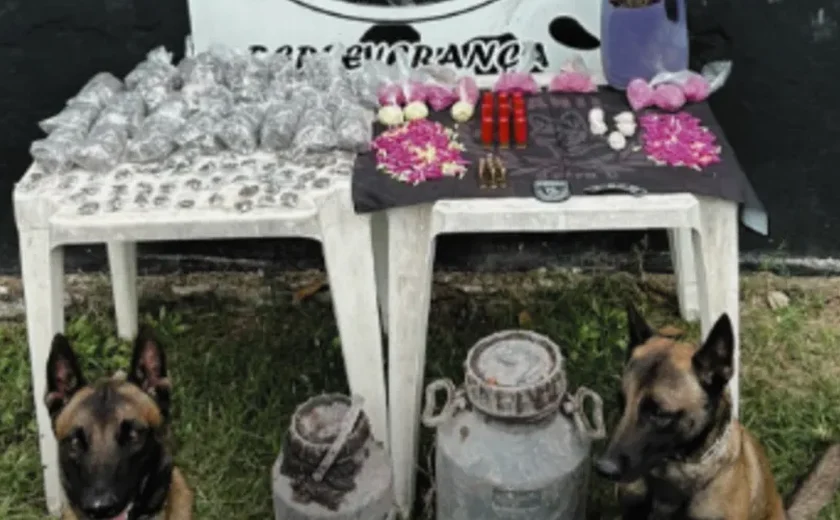 Cães farejadores localizam drogas e munições em Arapiraca