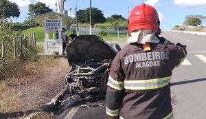Carro pega fogo na AL-220 em Limoeiro de Anadia