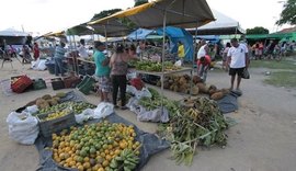 Iteral promove Feira Agrária do Crédito Fundiário em Pão de Açúcar