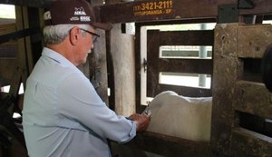 Alagoas atinge cobertura vacinal de 95,56% contra febre aftosa