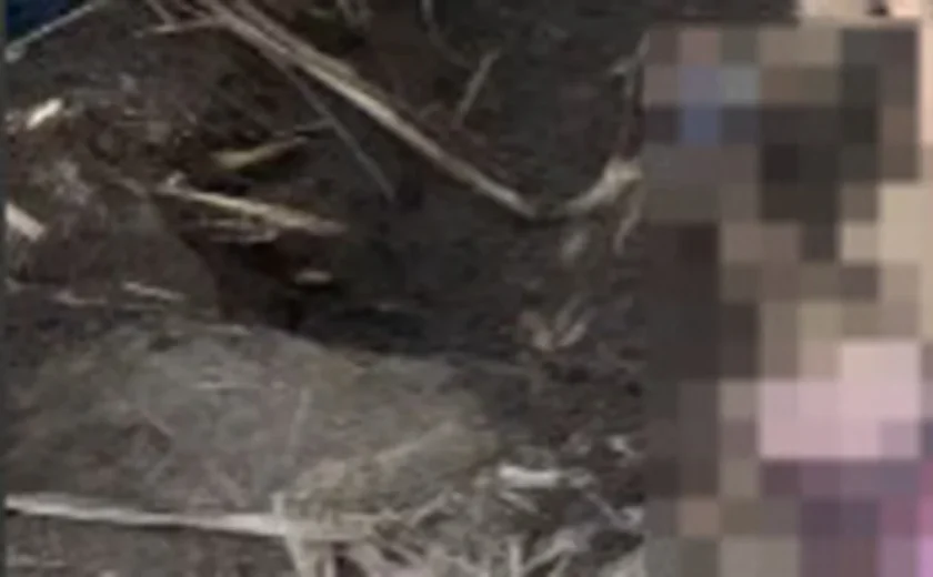 Corpo é encontrado enterrado em Canavial no Povoado Capela, em Penedo