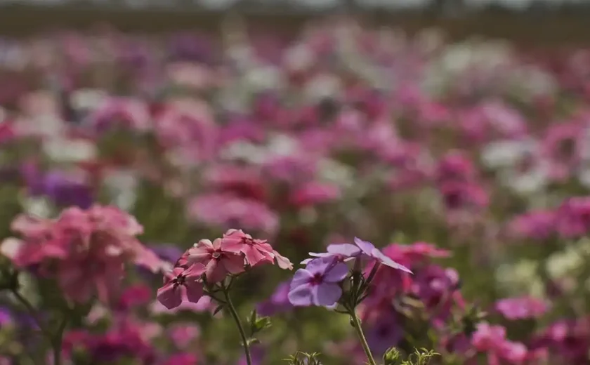Primavera começa com chegada de frente fria, temporais e fortes ventos