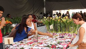 Feira de Flores deve atrair mais de 20 mil visitantes