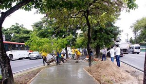 Obras da ciclovia da Avenida Fernandes Lima continuam em andamento