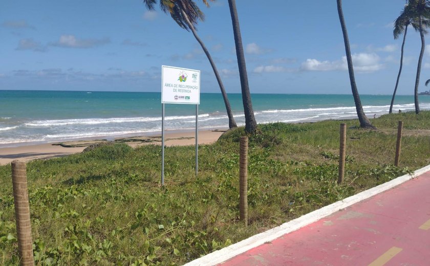Salsa Viva: projeto de revitalização já cercou 230 mil m² de áreas costeiras