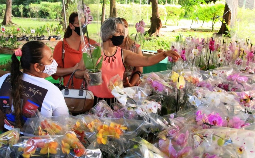 Feira de orquídeas e bromélias deve receber cerca de 3 mil pessoas