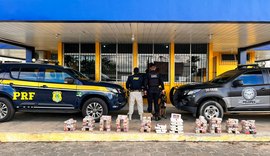 Polícias apreendem mais de 100 kg de drogas em São Sebastião
