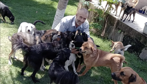 Abrigo com 1700 cães aguarda resposta de Equatorial Alagoas sobre pedido de ajuda há 1 mês