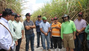 Dia de Campo apresenta resultados da irrigação no plantio de cana