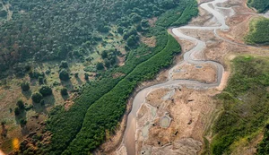 Pesquisa com bactérias na Amazônia pode desenvolver novos medicamentos