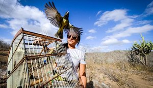 FPI devolve mais 343 animais silvestres à caatinga