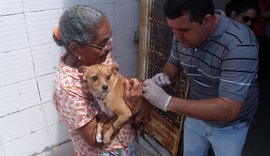 Campanha de vacinação antirrábica começa na segunda-feira (24)