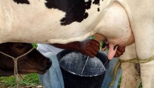 Embrapa lança novo Centro de Pesquisa em Alagoas