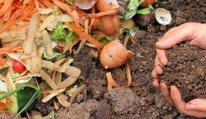 Compostagem Doméstica: uma ação sustentável ao alcance de todos