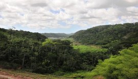 Alagoas é o segundo estado que menos desmata Mata Atlântica no país