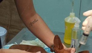 Vídeos: cãozinho é brutalmente atacado por homens e fica com lesões na coluna e maxilar