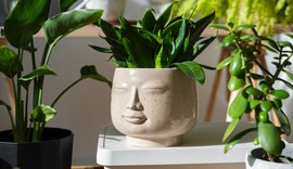 Conheça as vantagens de ter plantas em casa e os impactos no bem-estar